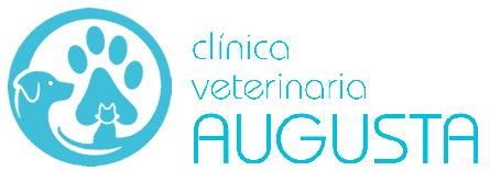 Clínica Veterinaria Augusta - Zaragoza